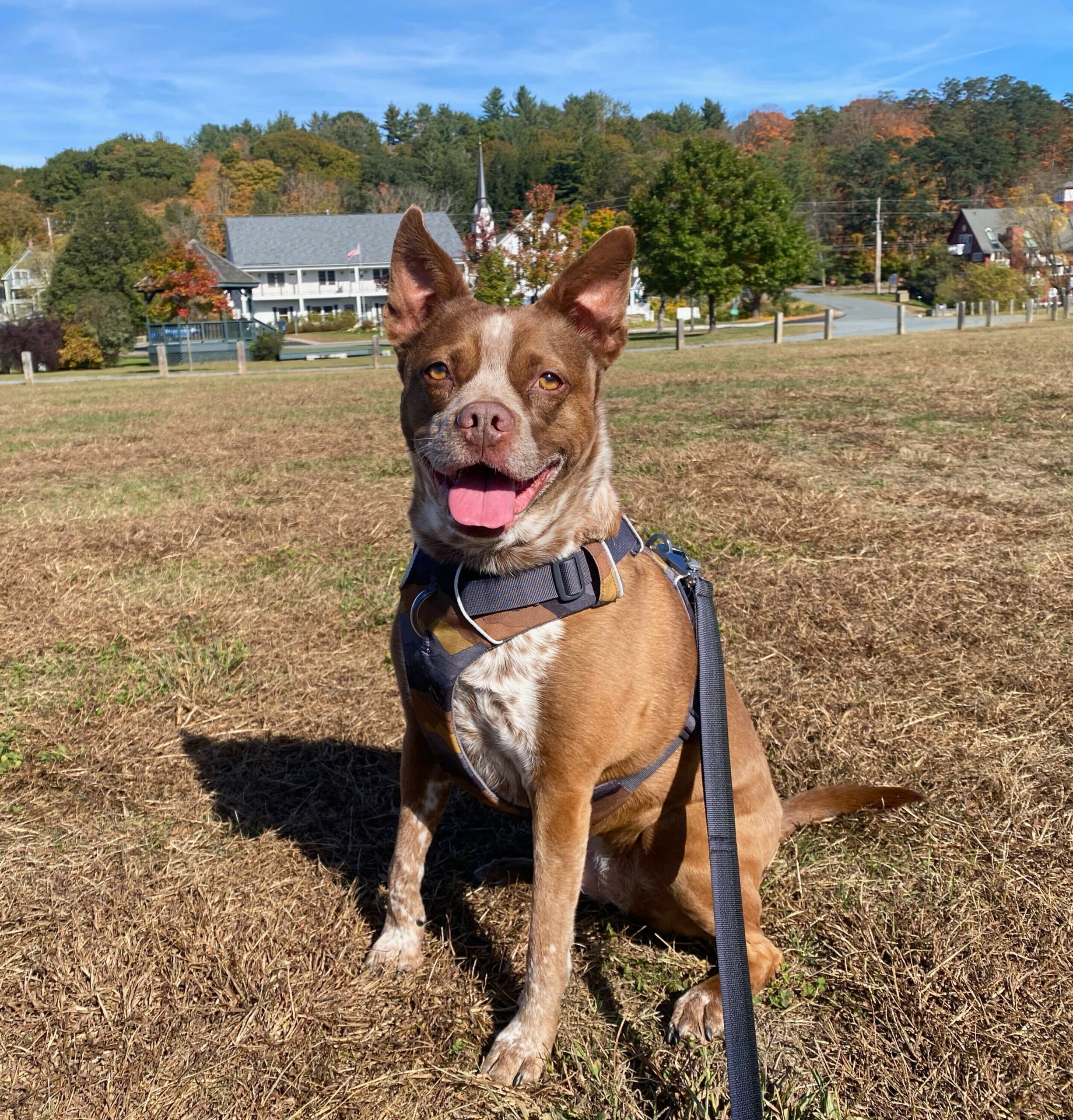 Kona pic – Edited (2)